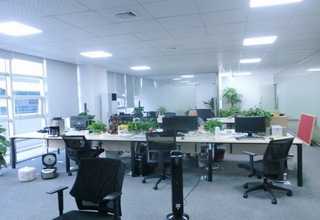 上海金腿大月饼规格