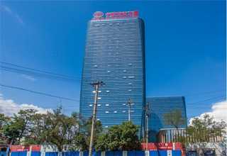 奉贤区土壤基因组DNA提取土壤DNA提取报价