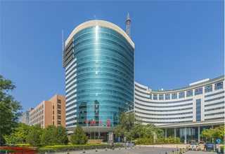 上海信息技术课程标准