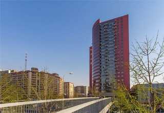 湖北省金属仿古瓦铝镁锰屋面板制造厂家